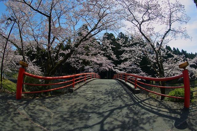 御塔橋 静岡県富士宮市の大石寺境内にある橋 土木ウォッチング