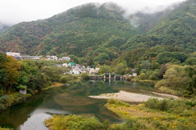 【20個セット】群馬限定　スティッチ　尾瀬　水芭蕉　根付　ストラップ　②